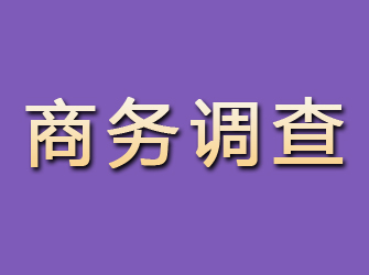 湖滨商务调查